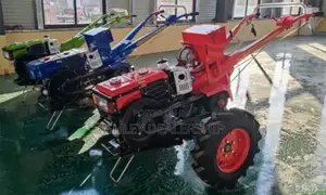 Small Tractor (Hand Working Tractor)