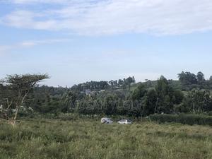 Kiserian 2.5 Acre Prime Land - thumbnail 2