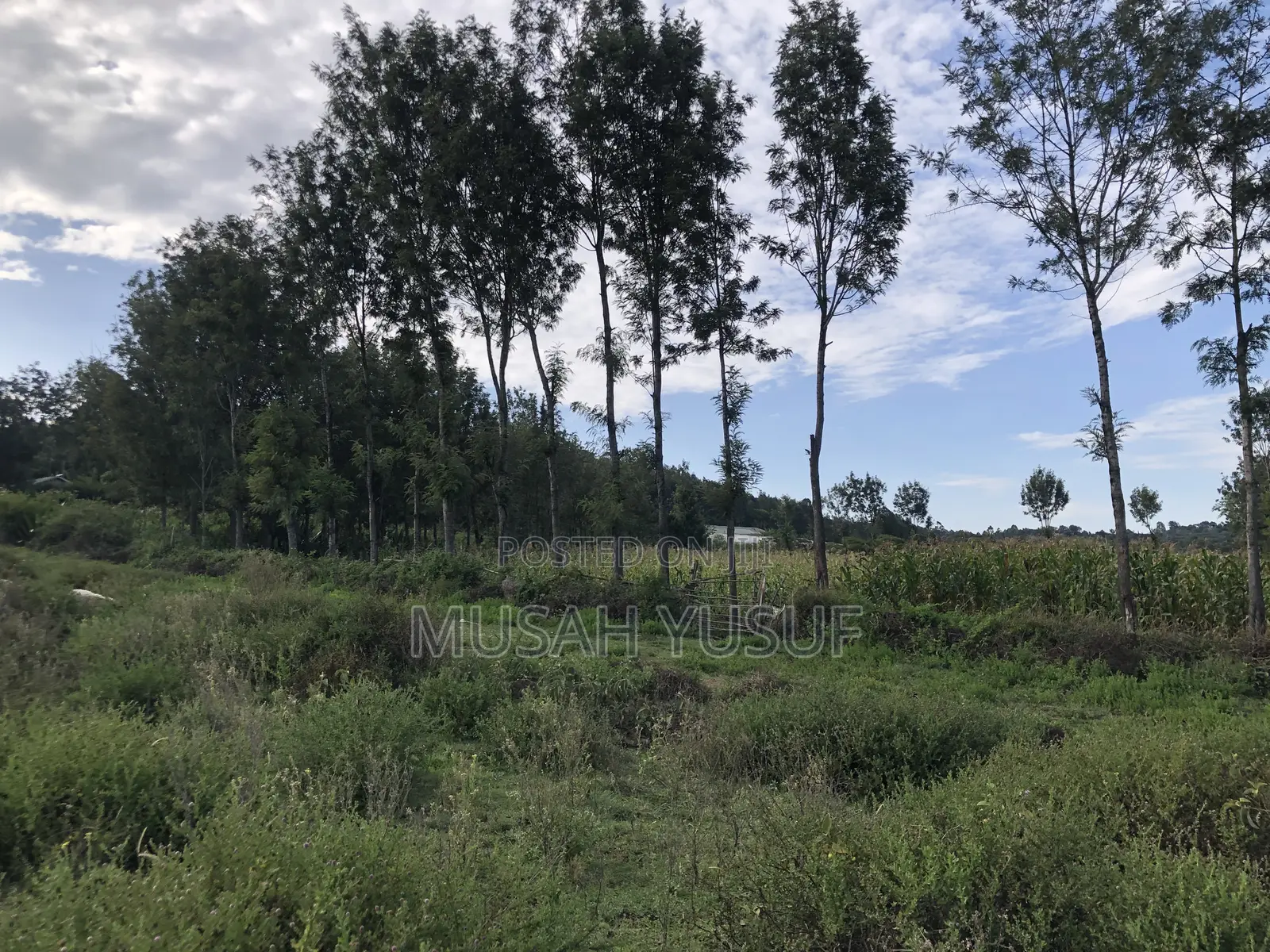 Kiserian 2.5 Acre Prime Land