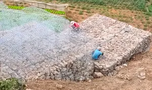 Galvanised Gabion Boxes Kenya 2mx1mx1m .