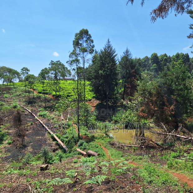 Tigoni - Kentmere Area 1/2 Acre Serviced Plots for Sale - thumbnail 6