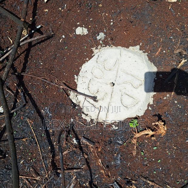 Tigoni - Kentmere Area 1/2 Acre Serviced Plots for Sale - thumbnail 12