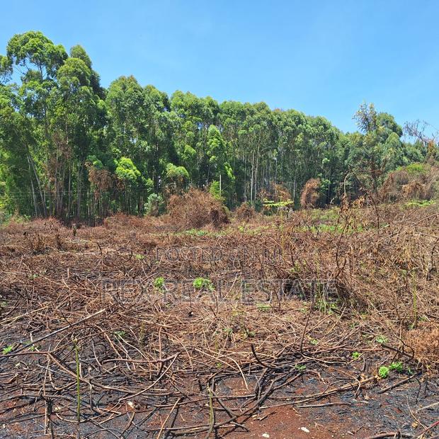 Tigoni - Kentmere Area 1/2 Acre Serviced Plots for Sale - thumbnail 13