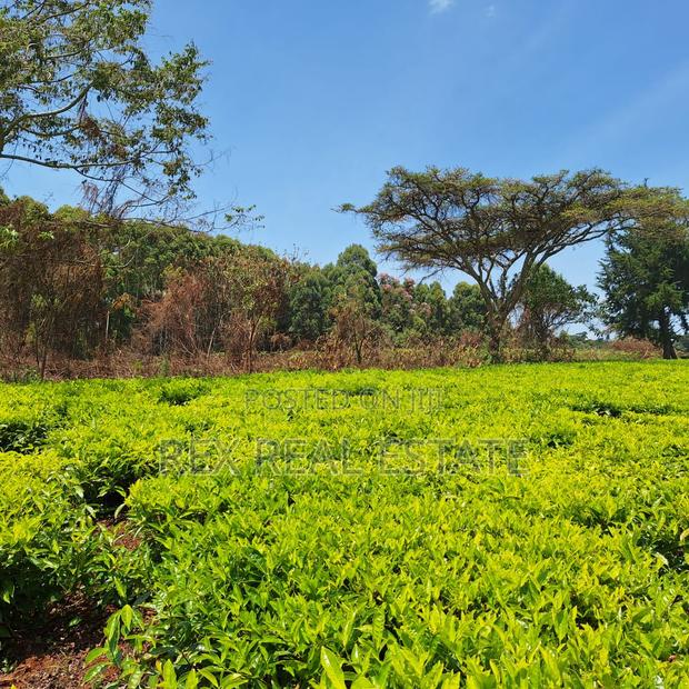 Tigoni - Kentmere Area 1/2 Acre Serviced Plots for Sale - thumbnail 14