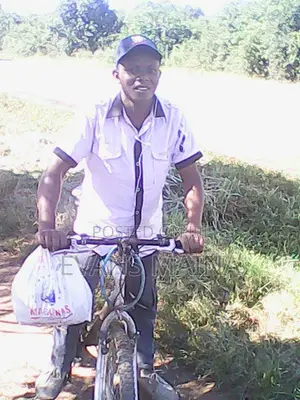 Sales and Delivery Driver