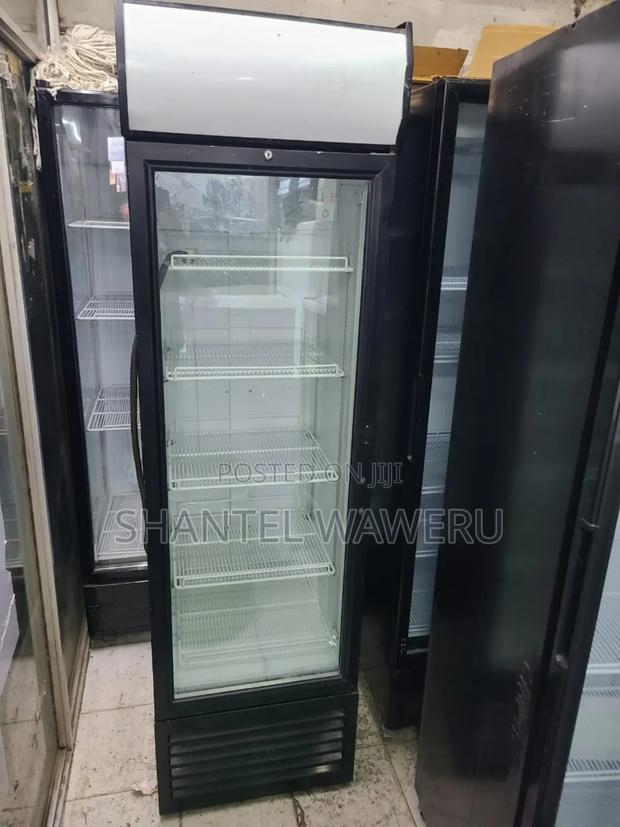 4trays Chiller Fridge Display Fridge