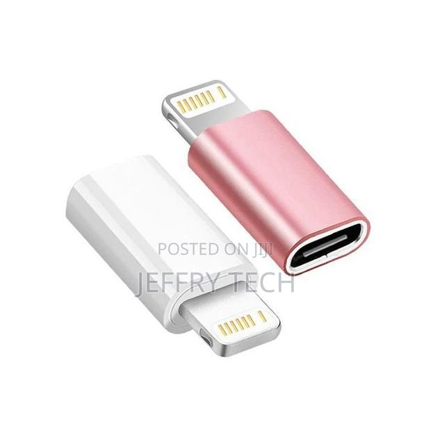 2pcs Mirco Usb to Lightning Charging Adapter for iPhone 11 - main view
