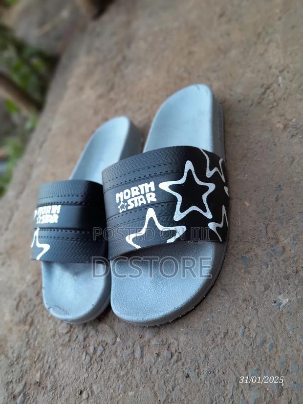 North Star Slides - thumbnail 5