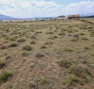 Prime Land Touching Tarmac,3acres