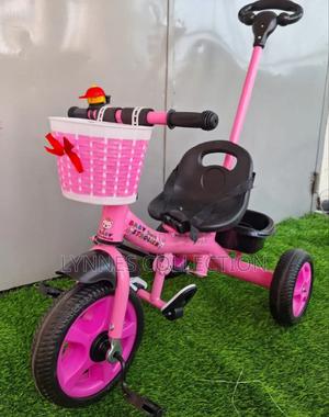 Tricycle With Pushhandle - main view