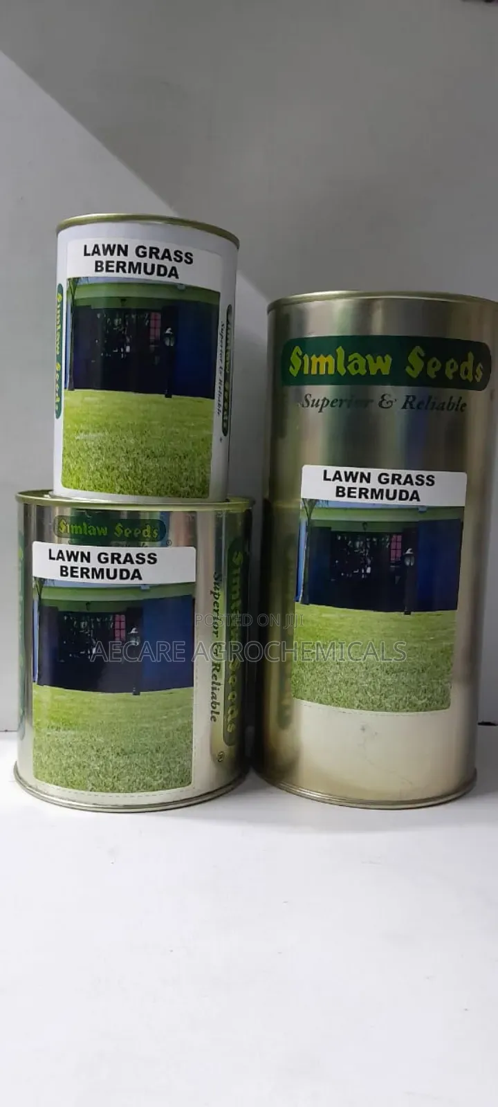Bermuda Lawn Grass (Simlaw Seeds) 100g, 250g, And 500g