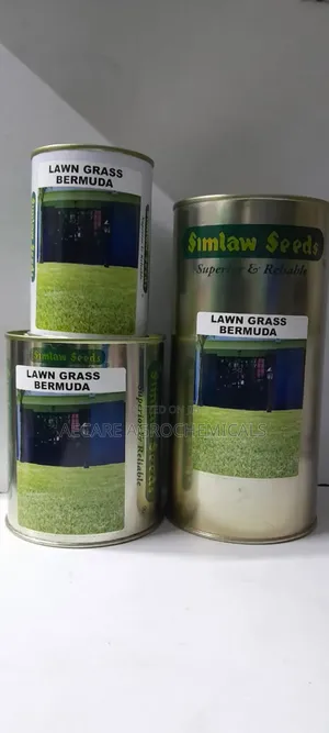 Bermuda Lawn Grass (Simlaw Seeds) 100g, 250g, And 500g