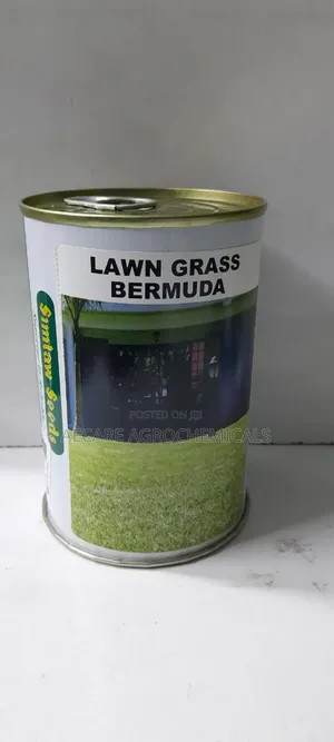 Bermuda Lawn Grass (Simlaw Seeds) 100g, 250g, And 500g