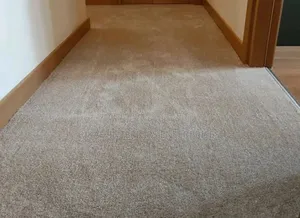 Cream VIP Wall to Wall Carpets