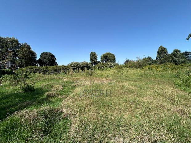 2.5 Acres Residential/ Commercial Property - thumbnail 5