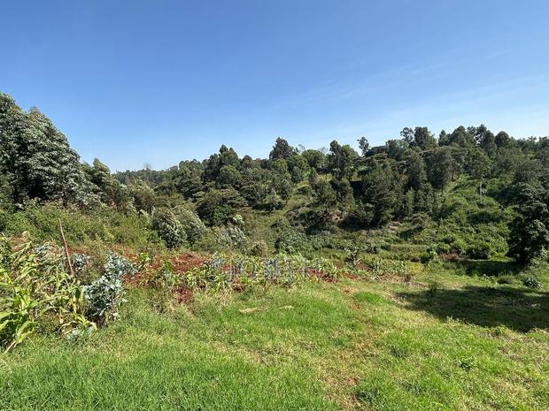 2.5 Acres Residential/ Commercial Property - thumbnail 9