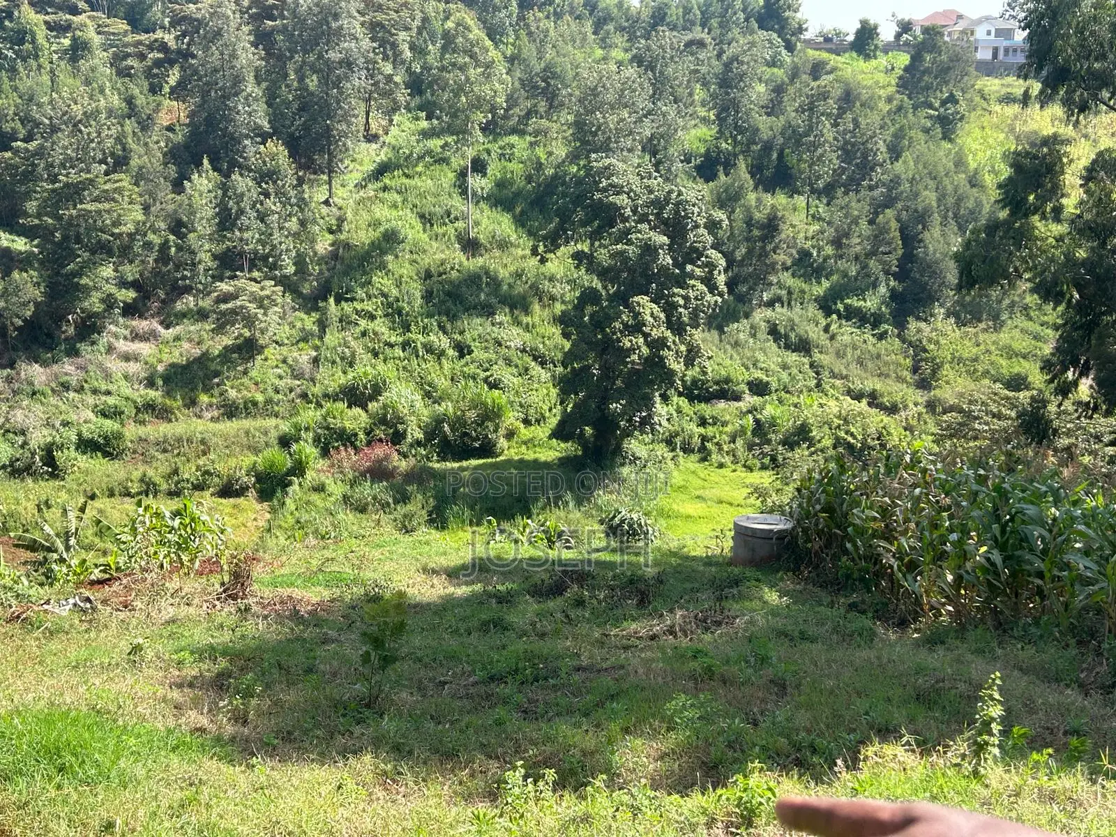 2.5 Acres Residential/ Commercial Property
