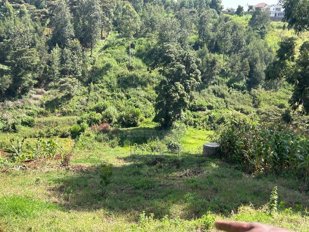 2.5 Acres Residential/ Commercial Property - thumbnail 10