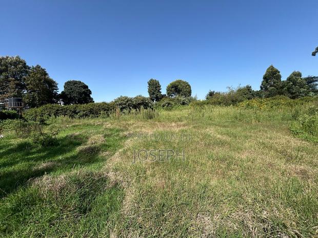 2.5 Acres Residential/ Commercial Property - thumbnail 11
