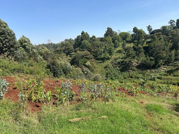 2.5 Acres Residential/ Commercial Property - thumbnail 12