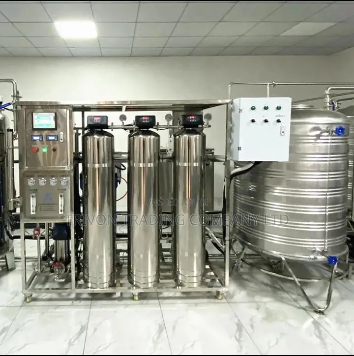 Water Purification Setup 1000lph Ro and Storage Stanks