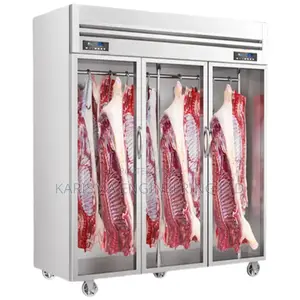 Stainless Steel Upright Butchery Display Glass Freezer