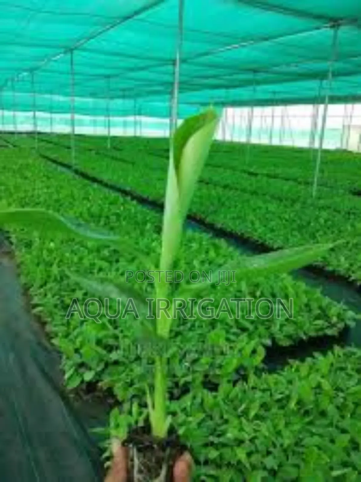 Protect Your Plants With High-Quality Shade Nets