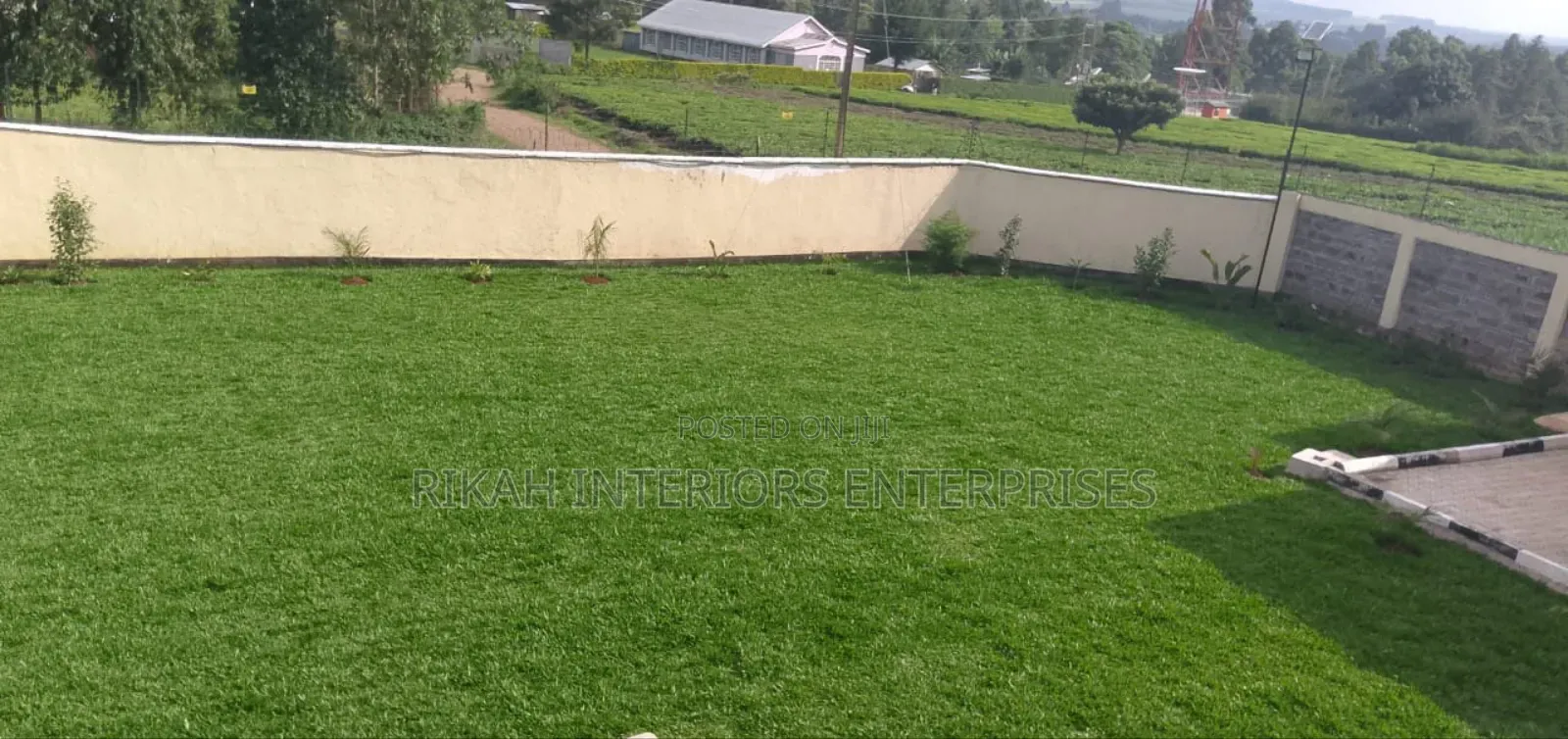 Grass Carpets for Outdoor Spaces