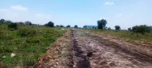 Vacant 1/8 Acre Plots For Sale In Isinya