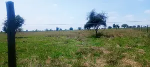 Vacant 1/8 Acre Plots For Sale In Isinya