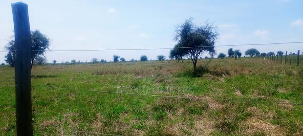 Vacant 1/8 Acre Plots For Sale In Isinya - thumbnail 3