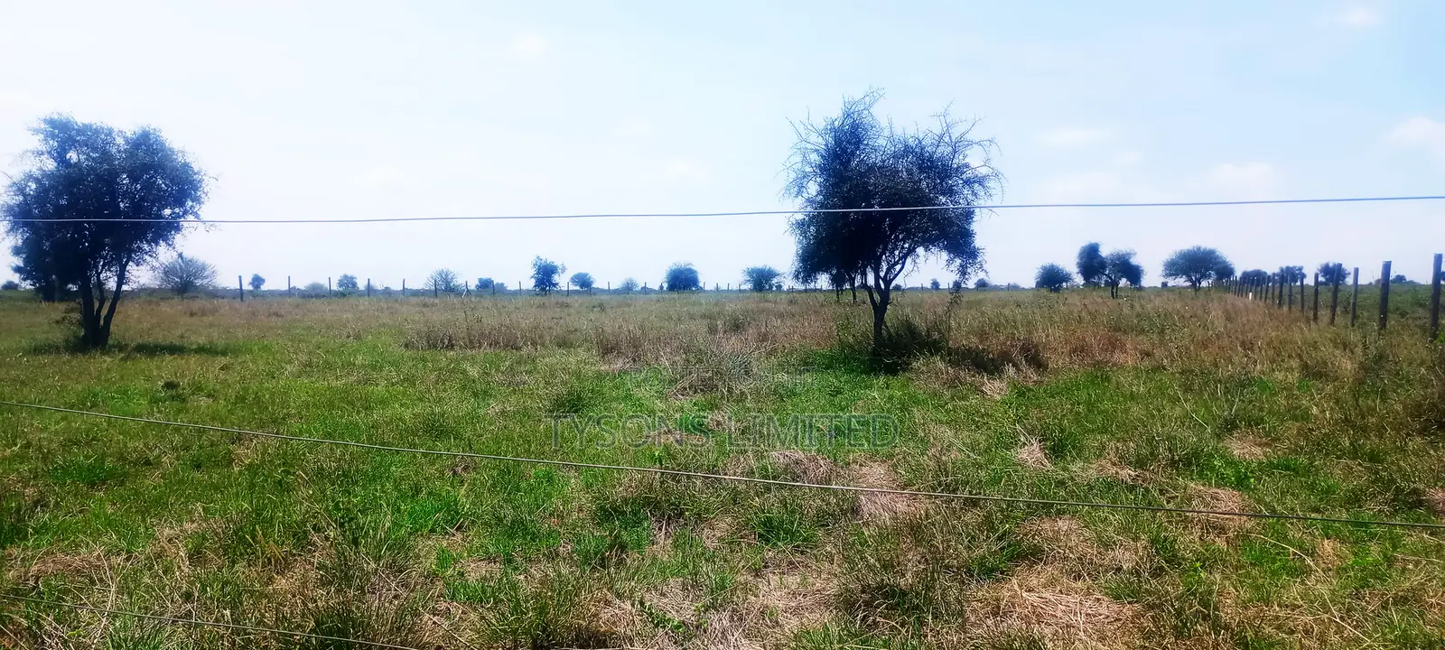 Vacant 1/8 Acre Plots For Sale In Isinya