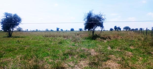 Vacant 1/8 Acre Plots For Sale In Isinya - thumbnail 4
