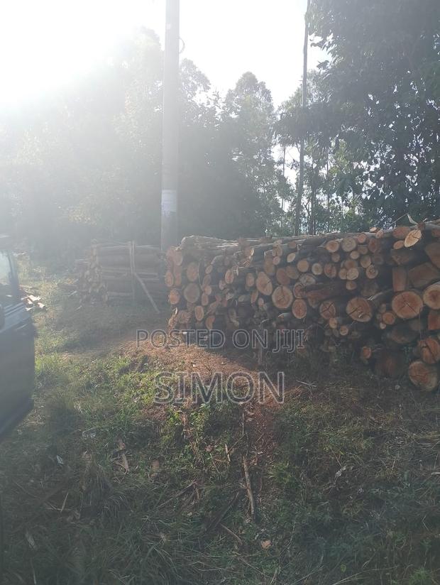 1.5 Arces Land for Sale in Gitugu Near Kangema, Murang'A - thumbnail 2