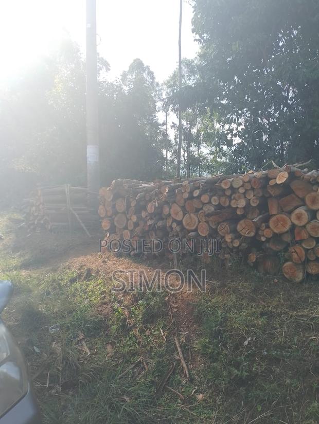 1.5 Arces Land for Sale in Gitugu Near Kangema, Murang'A - thumbnail 3