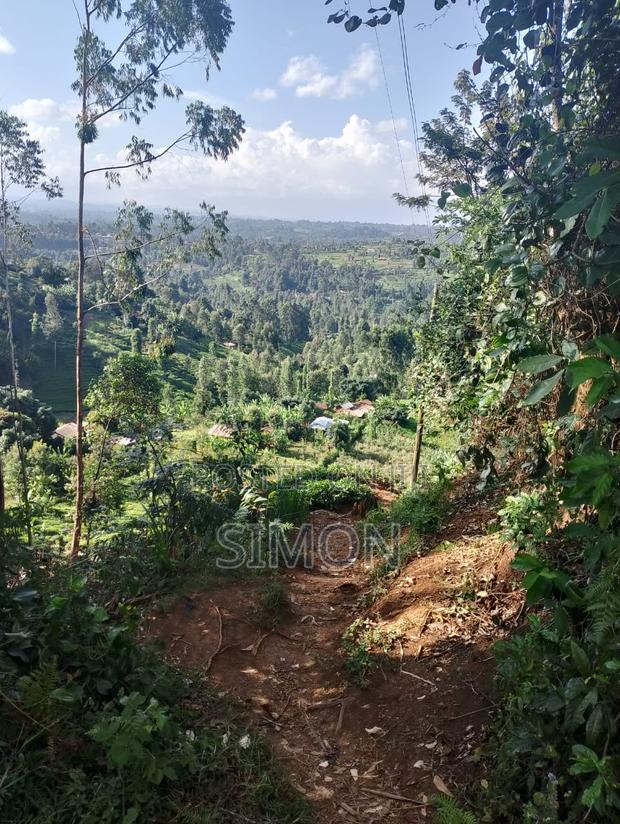 1.5 Arces Land for Sale in Gitugu Near Kangema, Murang'A - thumbnail 4