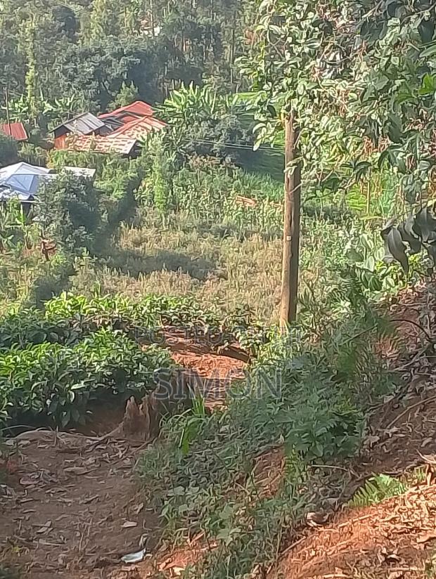 1.5 Arces Land for Sale in Gitugu Near Kangema, Murang'A - thumbnail 5