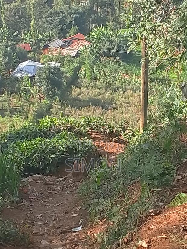 1.5 Arces Land for Sale in Gitugu Near Kangema, Murang'A - thumbnail 7