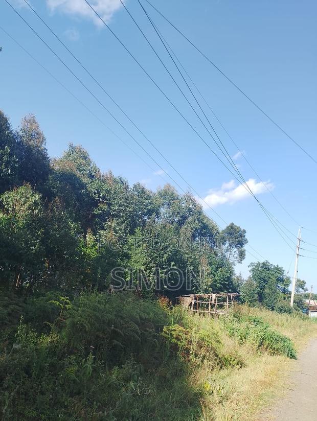 1.5 Arces Land for Sale in Gitugu Near Kangema, Murang'A - thumbnail 8