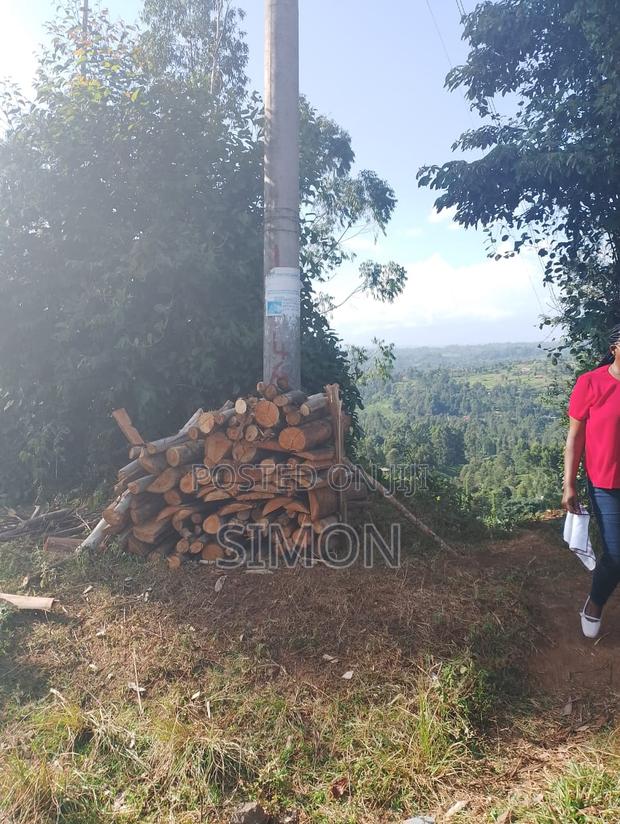 1.5 Arces Land for Sale in Gitugu Near Kangema, Murang'A - thumbnail 9