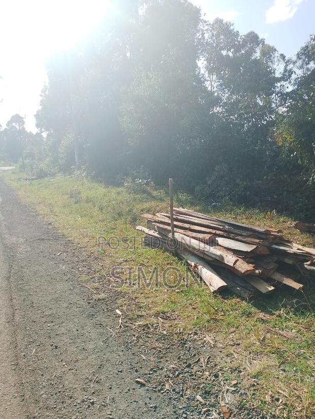 1.5 Arces Land for Sale in Gitugu Near Kangema, Murang'A - thumbnail 10
