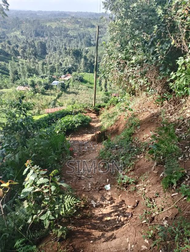 1.5 Arces Land for Sale in Gitugu Near Kangema, Murang'A - thumbnail 11