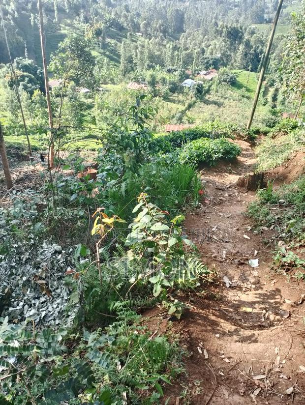 1.5 Arces Land for Sale in Gitugu Near Kangema, Murang'A - thumbnail 12