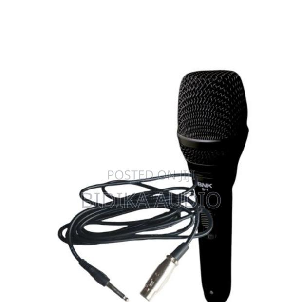BNK Bk1 Professional Wired Microphone