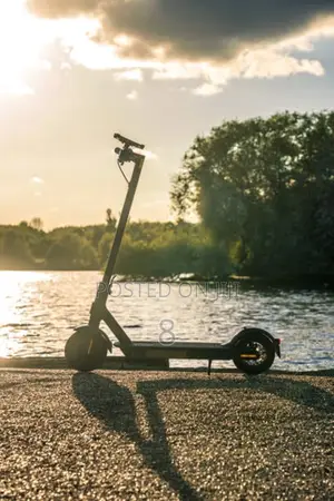 Luxury Adult Electric Scooter