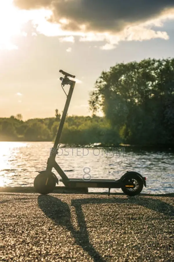 Luxury Adult Electric Scooter