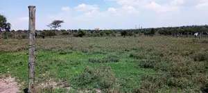 Vacant Plots for Sale in Isinya, Dalalekutuk Area