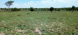 Vacant Plots for Sale in Isinya, Dalalekutuk Area