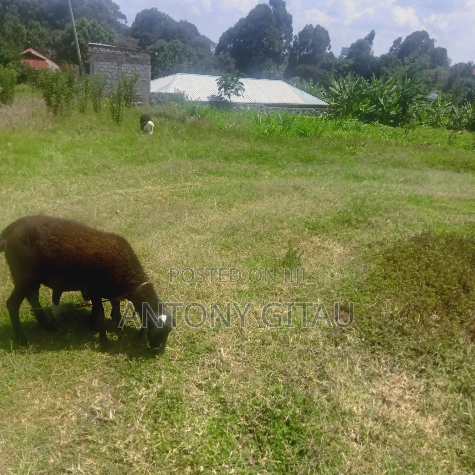 0.05 Ha Plot Near Kikuyu Bypass Overlooking Alliance High