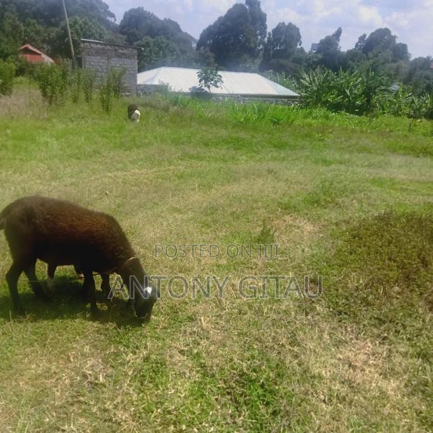 0.05 Haplot Near Kikuyu Bypass Overlooking Alliance High - thumbnail 3